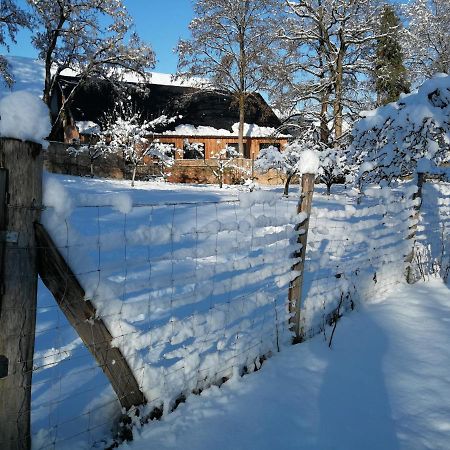 Gite Spacieux Et Cosy A La Campagne Proche De Strasbourg Achenheim Экстерьер фото