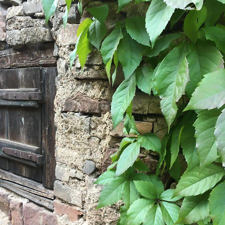 Gite Spacieux Et Cosy A La Campagne Proche De Strasbourg Achenheim Экстерьер фото