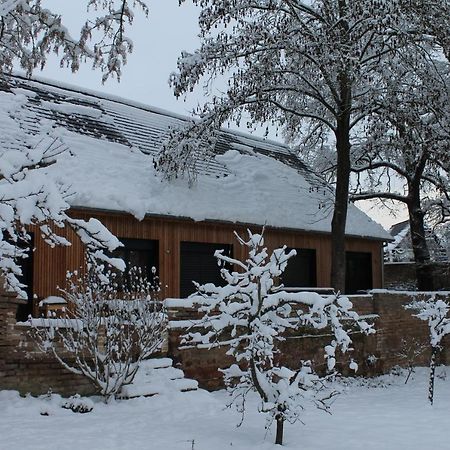 Gite Spacieux Et Cosy A La Campagne Proche De Strasbourg Achenheim Экстерьер фото