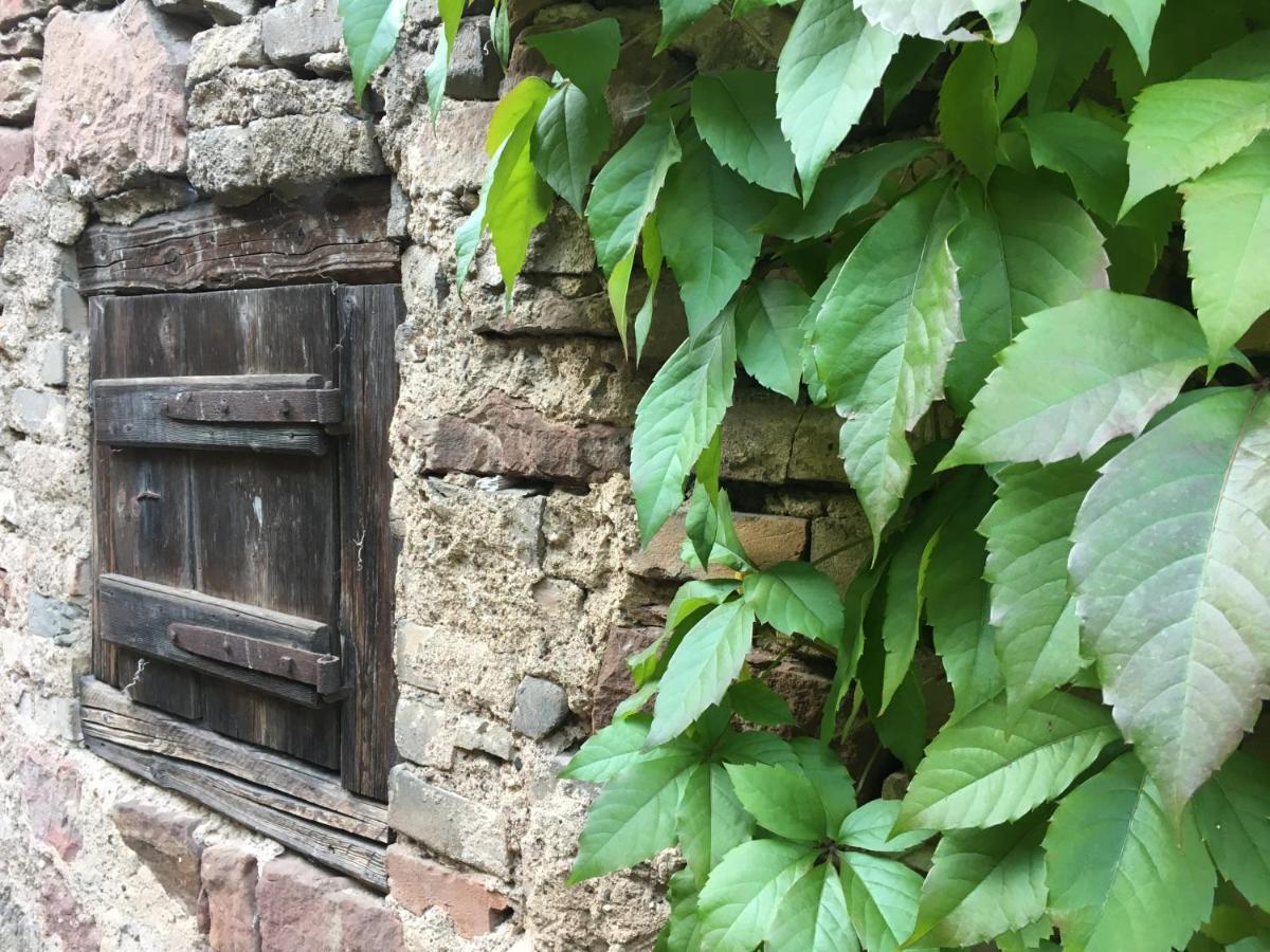 Gite Spacieux Et Cosy A La Campagne Proche De Strasbourg Achenheim Экстерьер фото