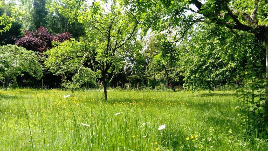 Gite Spacieux Et Cosy A La Campagne Proche De Strasbourg Achenheim Экстерьер фото